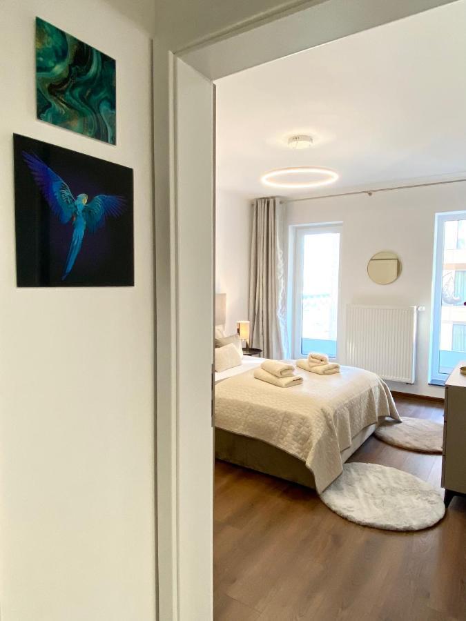 Carpathian Vacation Station Apartment Brasov