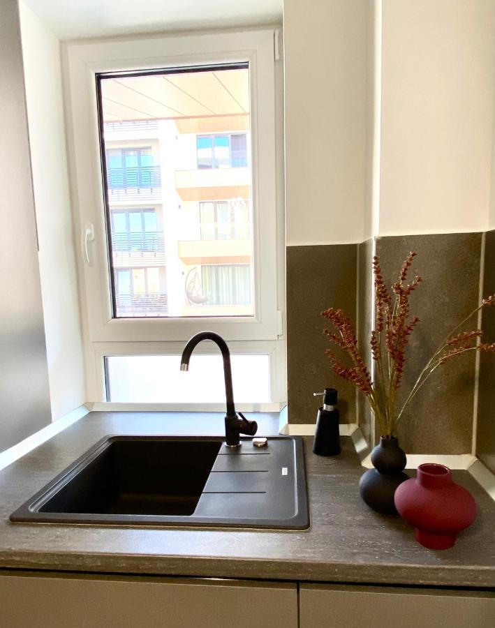Apartment Carpathian Vacation Station