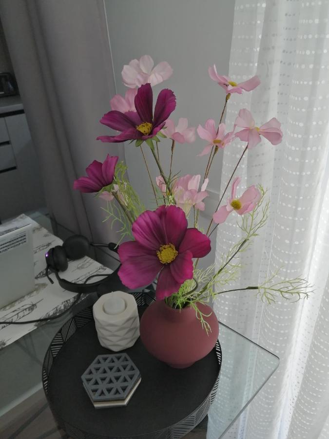 Apartment Carpathian Vacation Station